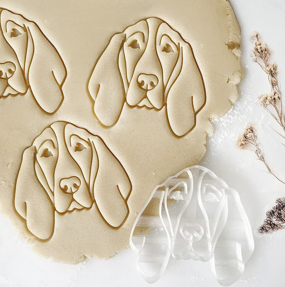 Bracco Italiano Dog portrait cookie cutter and stamps on the rolled out cookie dough