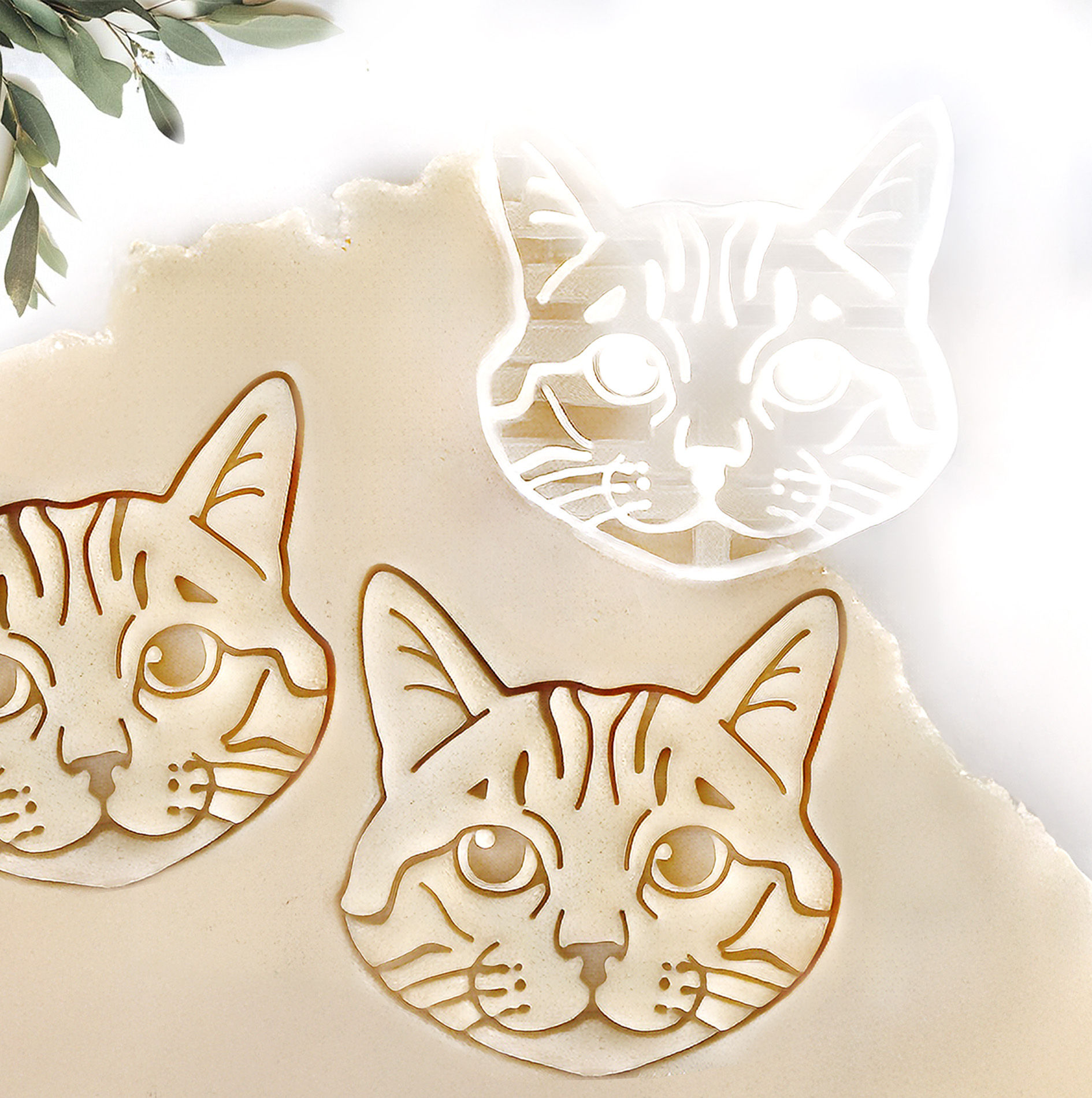 Domestic Shorthair Cat Cookie Cutter: Gift for Cat Lover