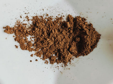 Hojicha : le thé japonais tendance du quotidien