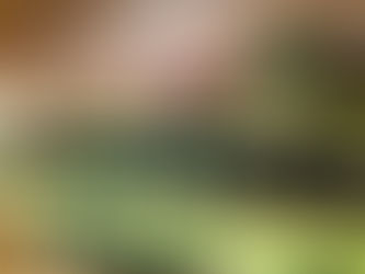 Op zoek naar een leuke thee-ervaring in een            privé setting?       