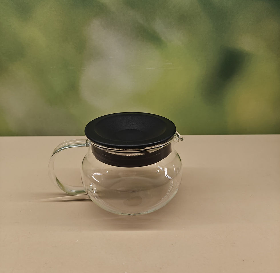 One touch teapot 450 ml