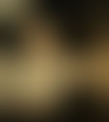 タンガルーマ・リゾートでの餌づけ