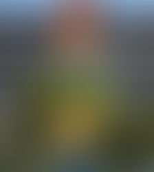 8年ぶりに日本へ帰国。ブリスベンから関空へ。