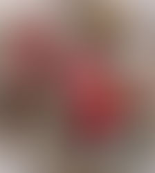日本で迎えたクリスマスとお正月