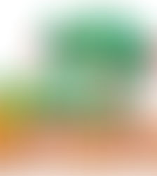 野菜を育てて自給自足