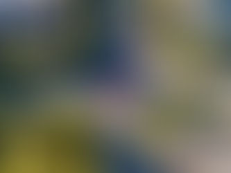 オーストラリアのランナバウト