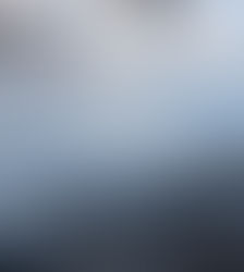 生まれ故郷の静岡についてホットした。