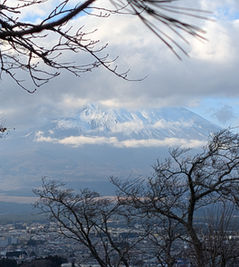 生まれ故郷の静岡についてホットした。