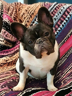 Screenshot_20240618_140902_Instagram_edi