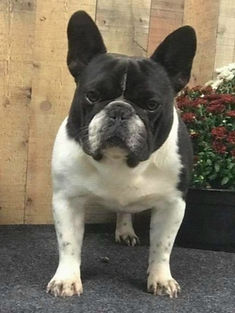 FB_IMG_1696704443027_edited_edited_edite