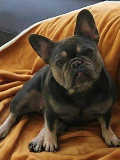 Screenshot_20240505_201106_Instagram_edi