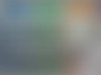 Die 7 häufigsten Fehler im Tiergesundheitsregal – und wie man sie schnell behebt