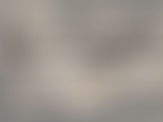 Loyalty Test Investigation: Uncovering the Truth with Precision and Discretion