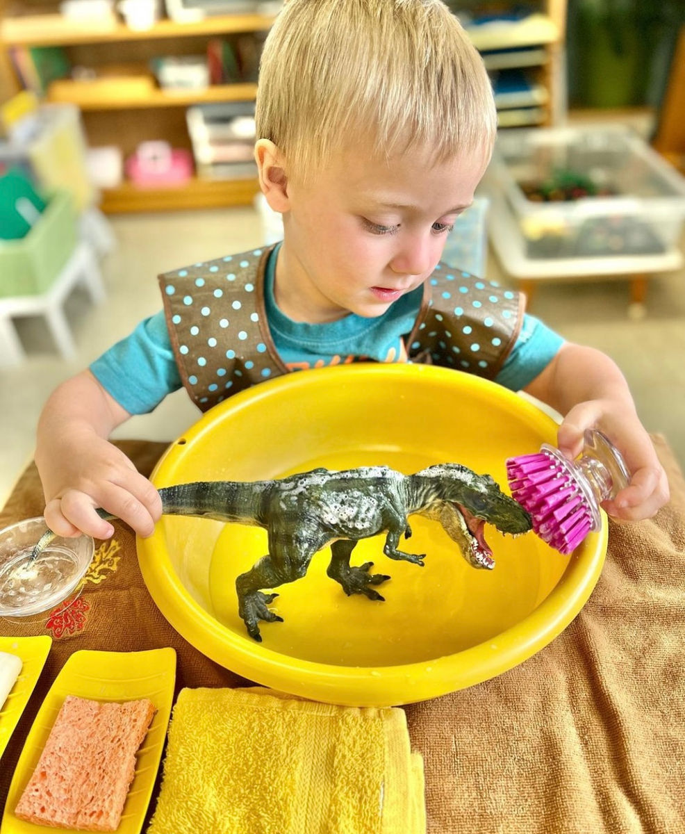 Bluegrass Montessori School