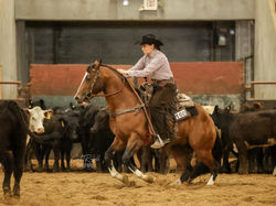Southeast Ranch Horse Series, 2023