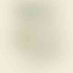 rochambeau club instagram post