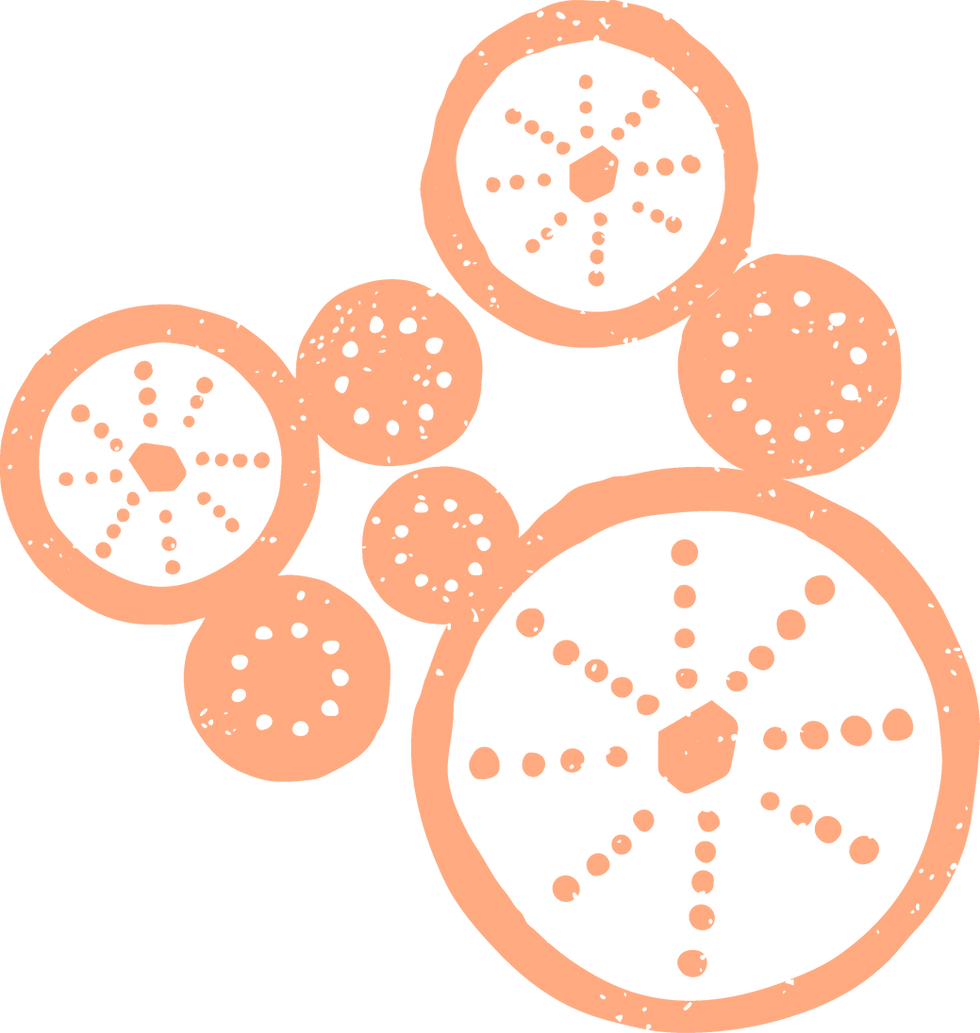 coral illustration in the coral colour