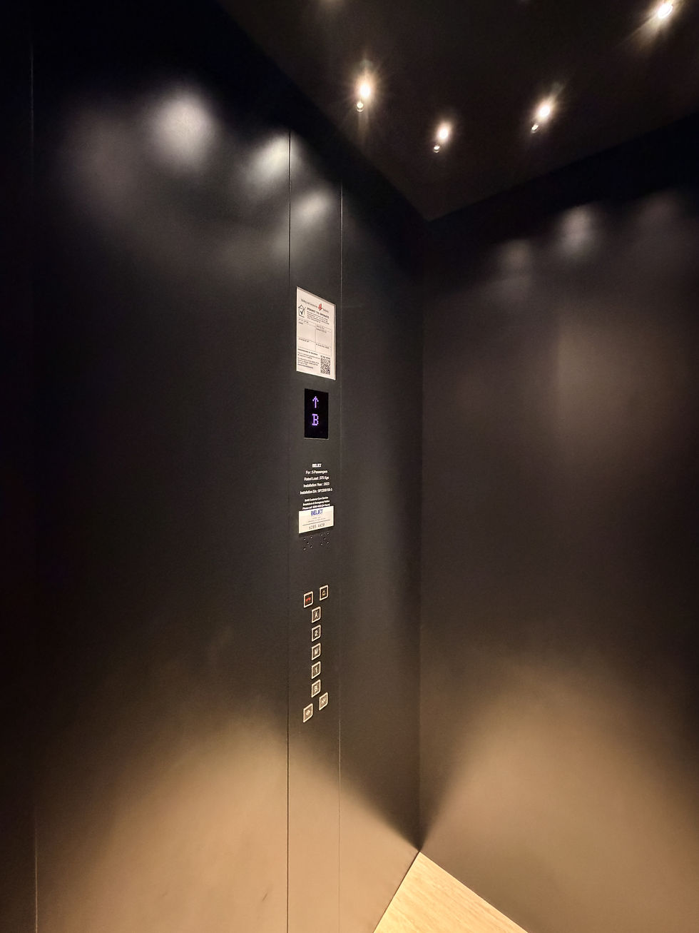 Metal Film WPC Wall Panel for the Hall Decoration 5