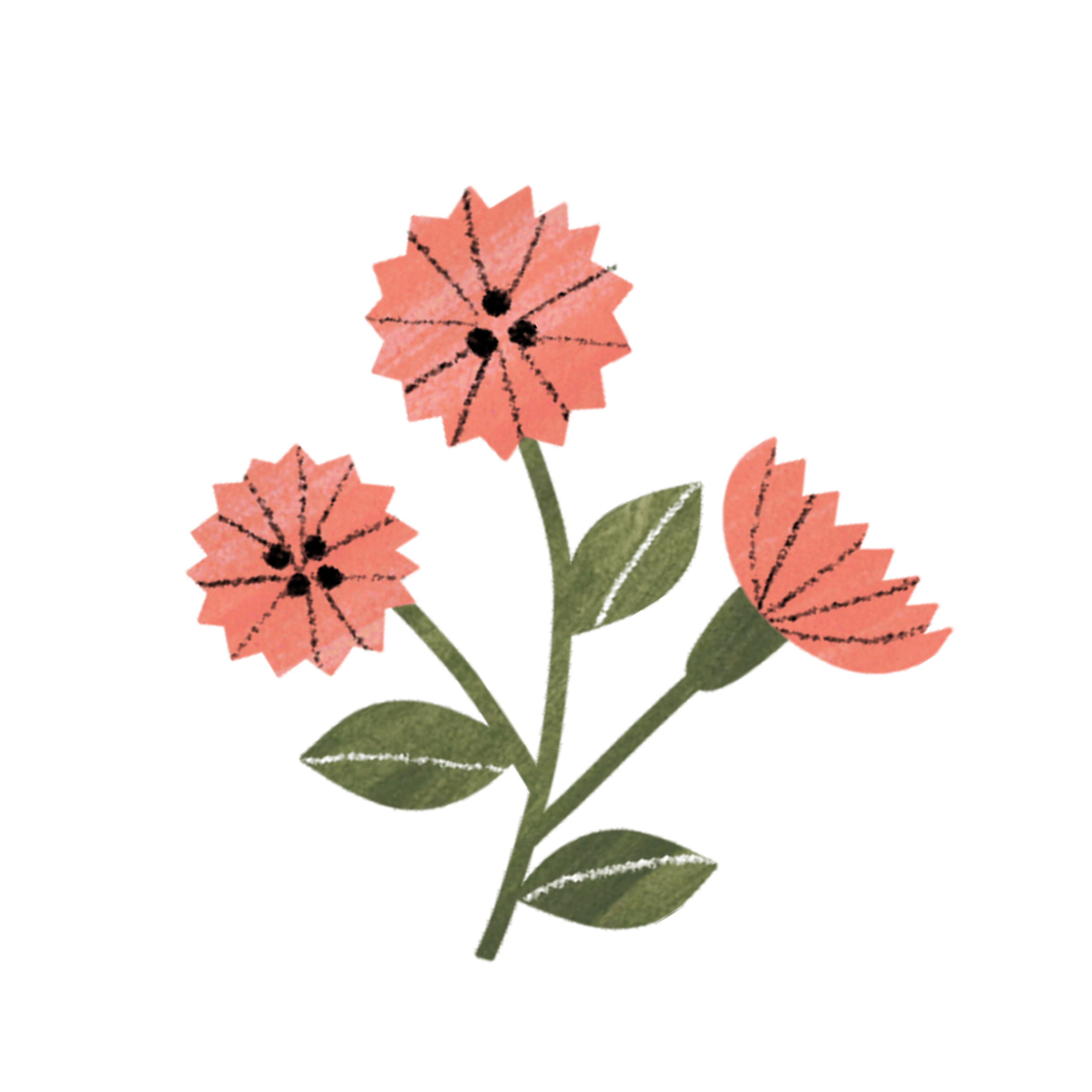 fleur rose fond transparent.gif