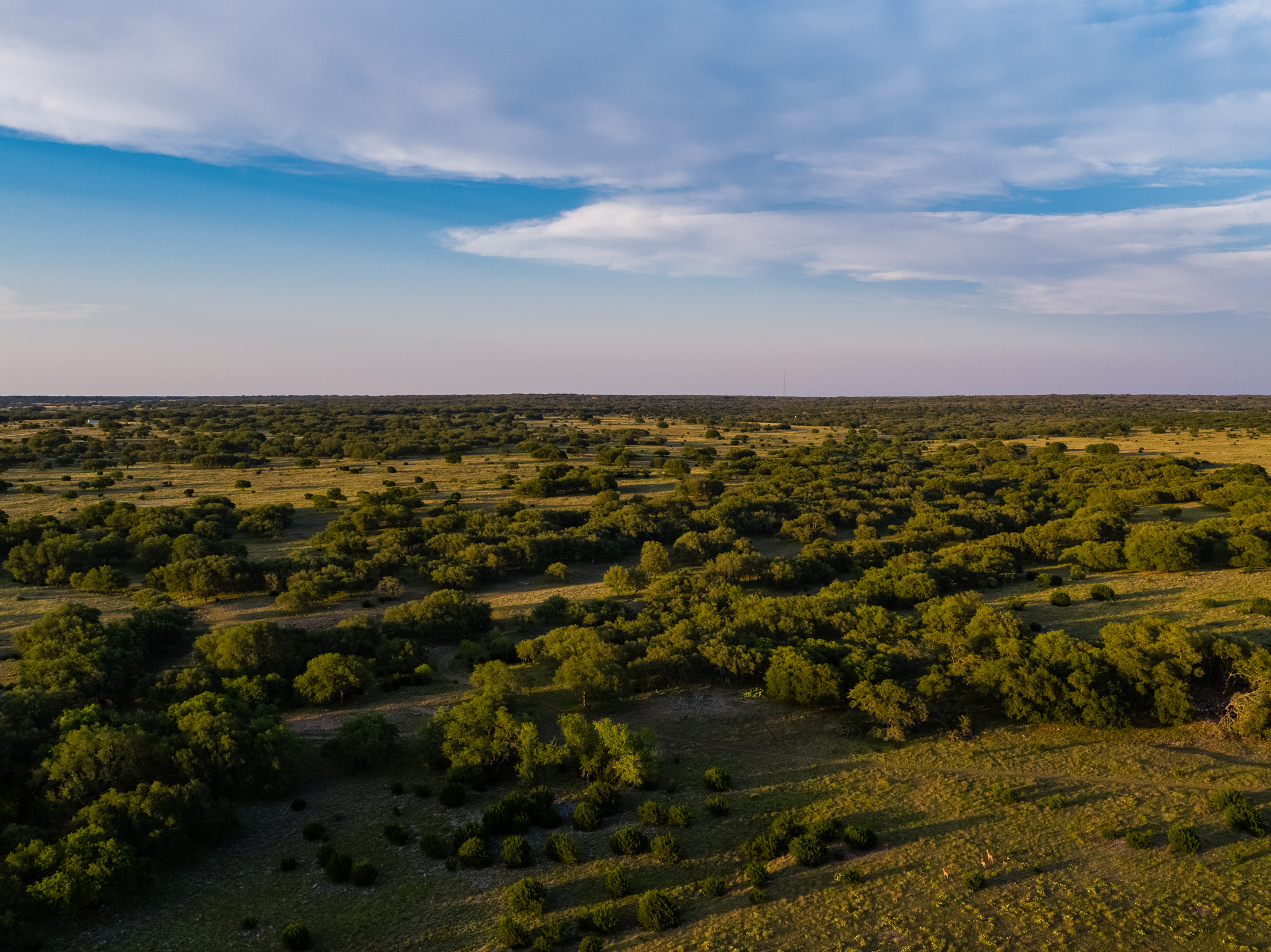 Apache Ranch For Sale Mountain Home, TX