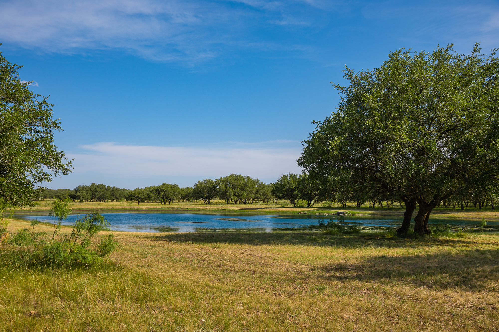 aravaipa canyon land for sale