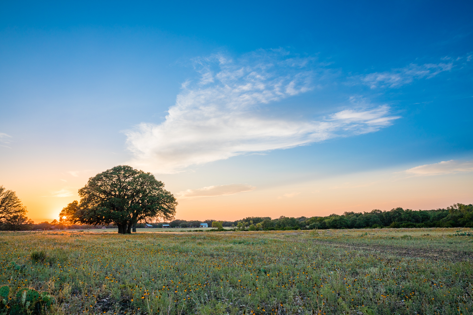 Apache Ranch | For Sale | Mountain Home, TX