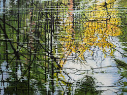 Autumn Reflection_edited