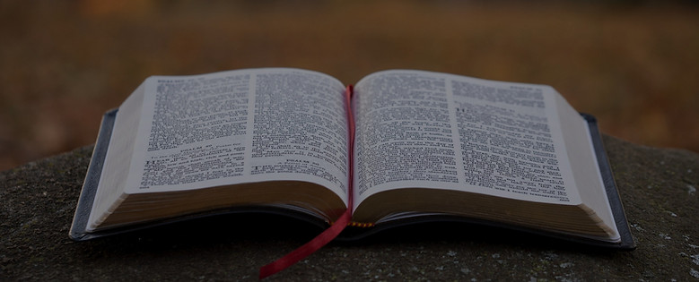 bible page on gray concrete surface_edit