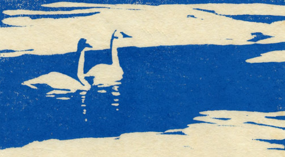 Trumpter Swans - Winter, Woodcut, Neil Rizos