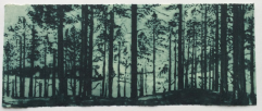 The Afterlives of the Caledonian Forest