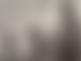 Common Good and the Border