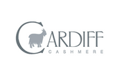 2-cardiff_logo_fiera_page_001-d36dfa0274a78e35.png