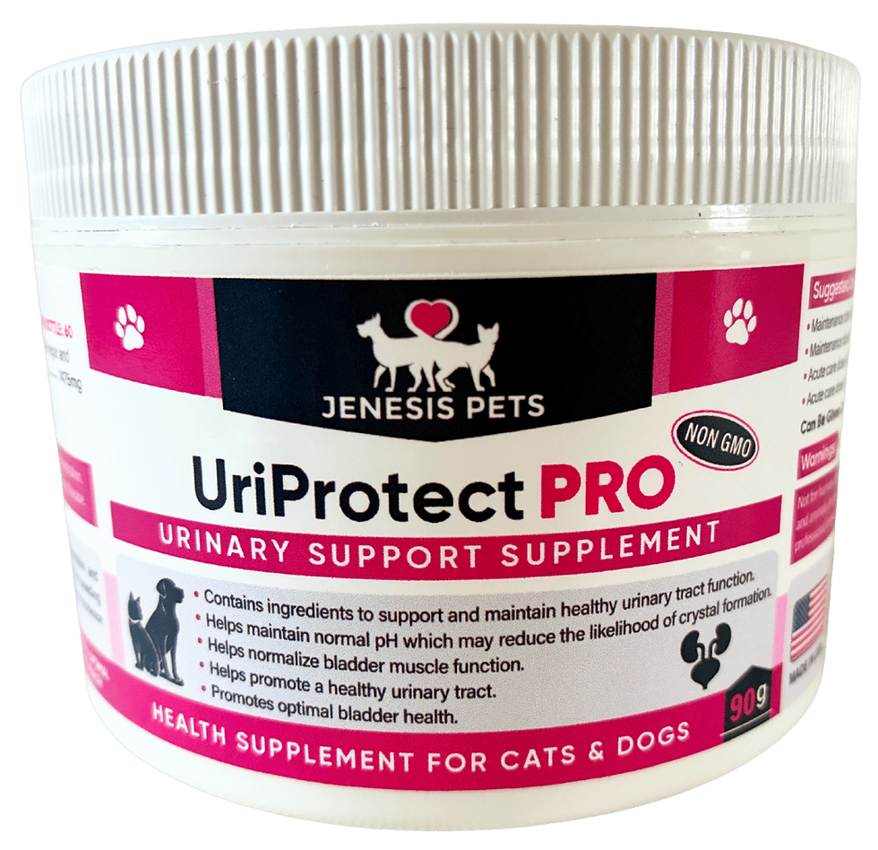 Thumbnail: UriProtect PRO