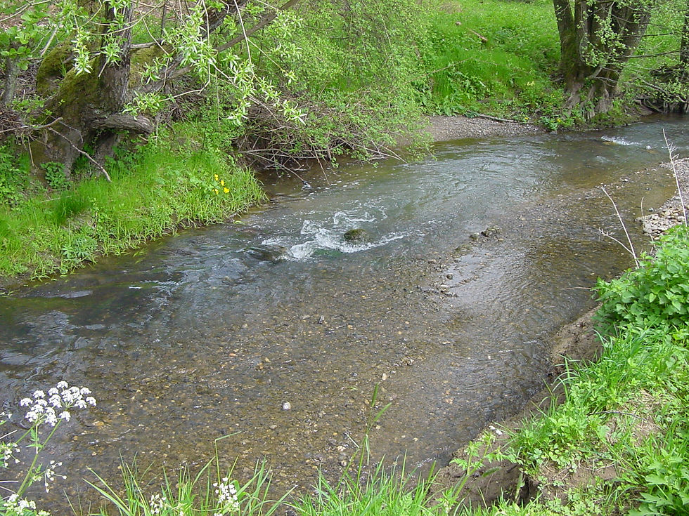 Attert im Gebiet der Gemeinde Attert