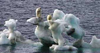 cambio climatico.jpg