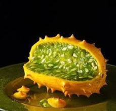 kiwano.jpg