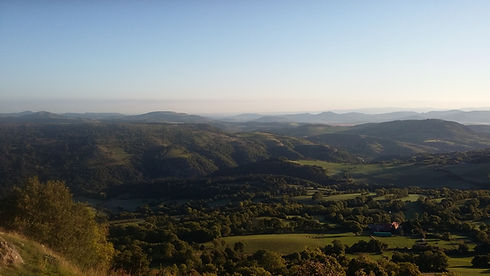 20220919_082309.jpg