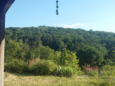 20210609_185530.jpg