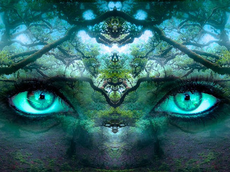 🐱🌳La Communication Intuitive, c'est quoi et c'est pour quoi ?💎🧚