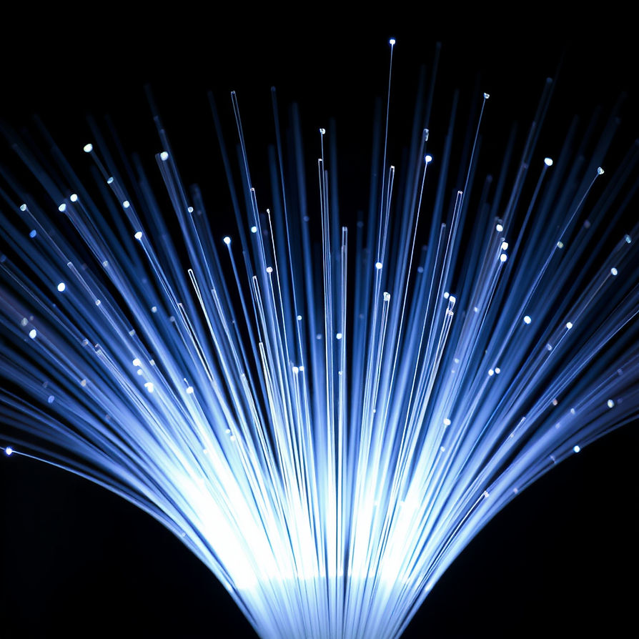 fiber optic light.jpg