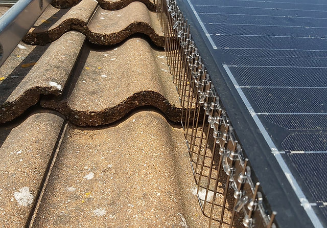 Solar Panel Bird Proofing Jlm Pest Control