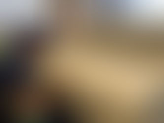 Limpeza e Hidratação de estofados de couro.