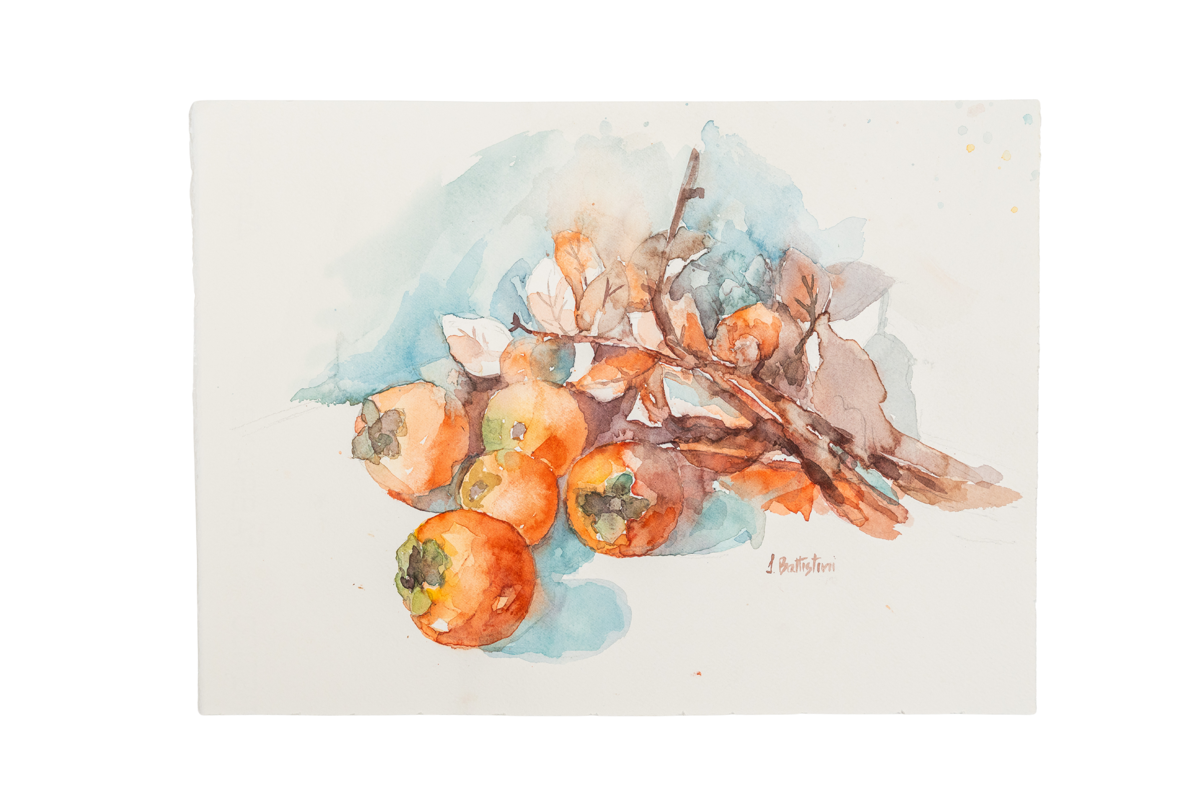 Frammenti di Transizione