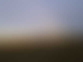 Butcher shop closing