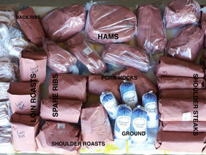Breakdown of a Smaller Pig We Recently Had Cut Up.