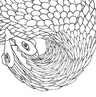 tete  de la poule.gif