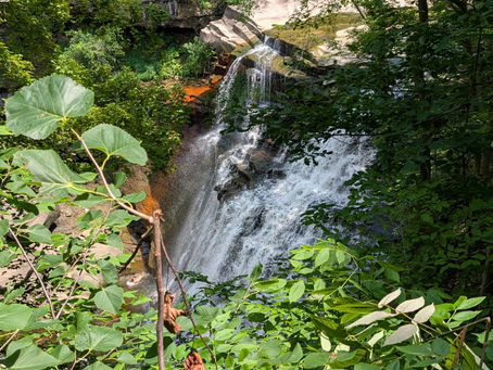 Brandywine Falls