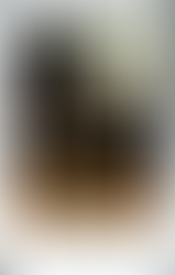 Catarina Gomes during the recording session