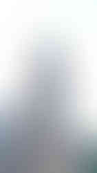 Liduina Basiliek Church Bells, Schiedam, the Netherlands