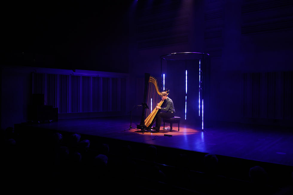 Joost Willemze at BsbHarpFestival